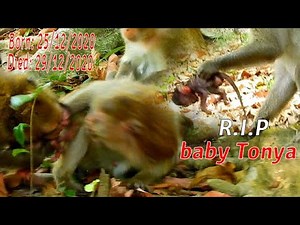 Sad news! Million sorry that baby Tonya died, Evil Aron bite baby Tonya to death.