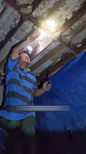 How Edible Bird’s Nests Are Harvested from Swiftlets! 🏔️ #BirdsNest #SwiftletNest #EdibleBirdsNest #LuxuryFood #RareDelicacy #BirdsNestSoup #SwiftletFarming #BirdsNestHarvesting #WildlifeTrade #ExpensiveFood #NaturalSuperfood #TraditionalHarvesting #SustainableFarming #EcoFarming #ExoticFood #GourmetExperience #NatureHarvest #Swiftlets #shorts #viral #trending #reelsfacebook #fyp | AmeWhere