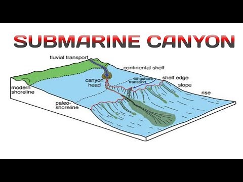 Submarine Canyon