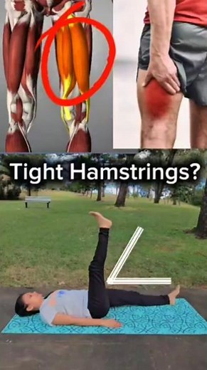 Hamstring Tightness Test & Best Stretches | Check it now #hamstrings #tightness #specialtests