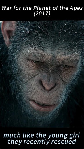 #movie #film War for the Planet of the Apes | Caesar Confronts Fallen Soldiers & the Clever Ape