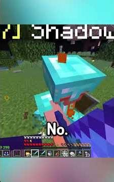 Minecraft's Best Trapper 💀