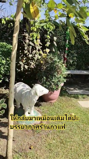 ให้กลับมาเหมือนเดิมได้ปะ#บรรยากาศร้านกาแฟ#คลิปตลกๆขำๆฮาๆ#คลายเครียด #subscribe #shortvideo #