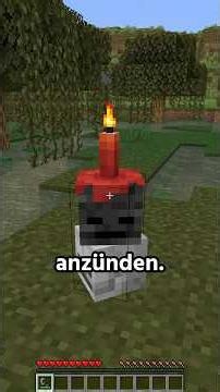 Wieso geht das nicht mit mehr Dingen? #minecraft #minecraftupdate #minecraftmods #minecraftdeutsch