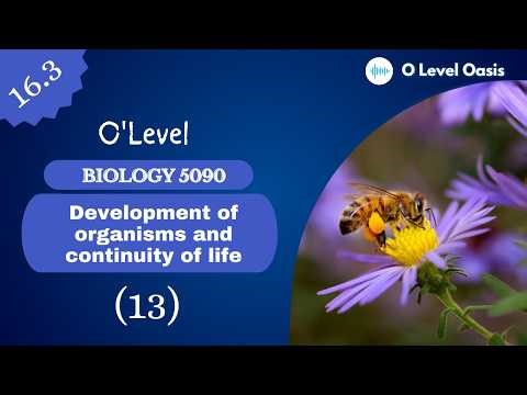 Seeds and Fruits Dispersal | Chapter 16 | Unit 16.3 | Sexual Reproduction in Plants‎