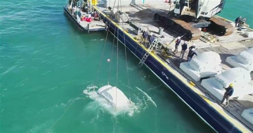 "Concrete Coral" turns South Florida's coast into living art