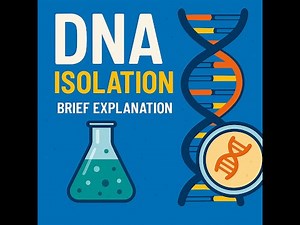 DNA isolation :Brief explanation with material and methods and role of reagents By miss Prachiii