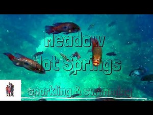 Snorkeling & Swimming at Meadow Hot Springs, Utah.