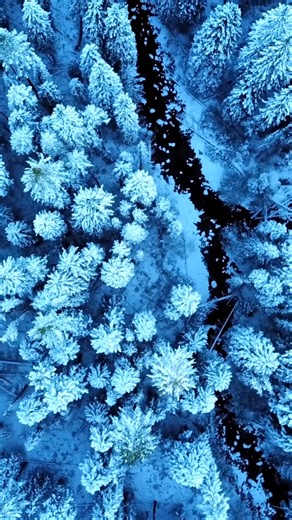 Hidden Facts About Space🧐👆