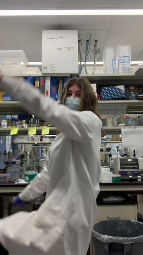 the_lab_life on TikTok