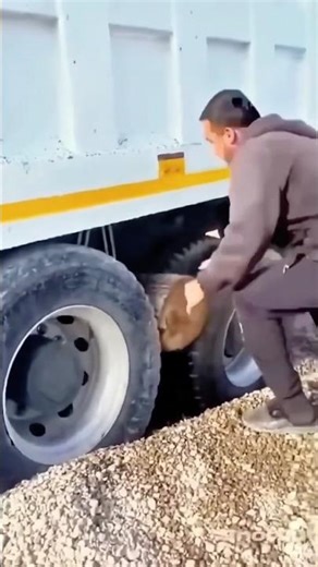 Huge Truck Stuck in Sand? Watch This Genius Fix It FAST! 🚛🪵 Epic Rescue Trick @ConneryDavoodian