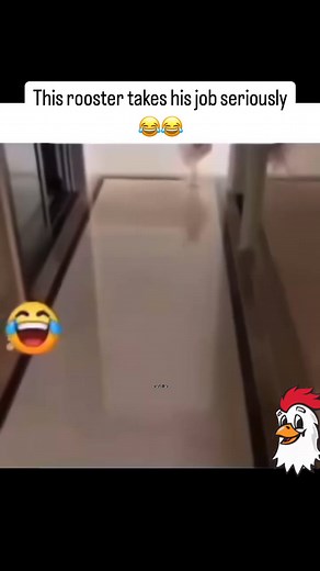 16K views · 90 reactions | Laugh Grumps on Reels | Facebook