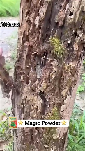 9.2K views · 230 reactions | Buy 1 Get 1 Free 殺 | ExpressShip Shipping | Facebook