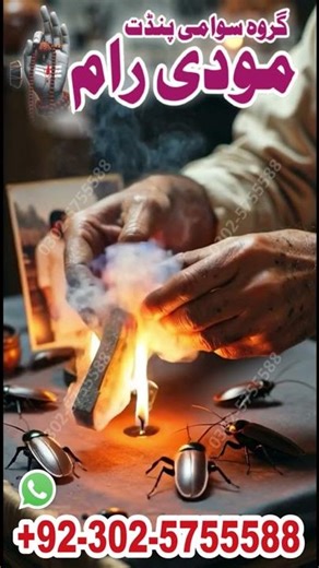 kala jadu expert,kala jadu,kala jadoo,kala jadu k tor,real kala jadu,online kala jadu,kala jadu expe