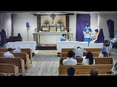 Holy Mass ✝️ Immaculate Heart of Mary Oratory