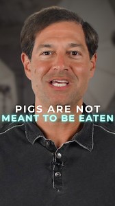 852K views · 19K reactions | Are pigs meant to be eaten? 樂 Jordan...