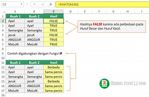 Membandingkan Dua isi sel dengan Fungsi EXACT di Excel