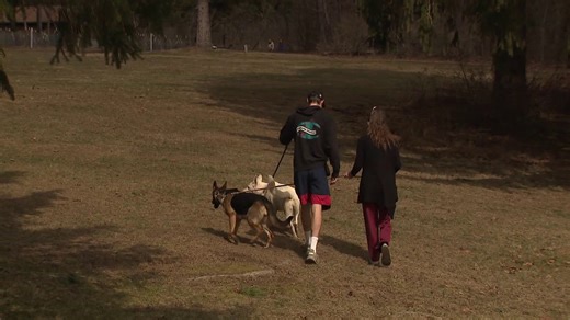 Sunshine draws visitors to Beltzville State Park