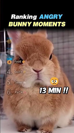 Ranking ANGRY BUNNY MOMENTS Core Moments!! 😡🐰