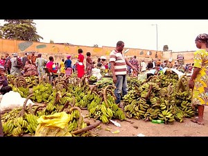Africa’s Biggest Fresh Fruit Factory - Ketu Fruit Market!!