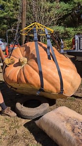 1.3M views · 10K reactions | I should probably ask for help more  #giantpumpkin #halloween #fall #gardening #pumpkin #garden #jackolantern #plants #vegetables | northeastgiantpumpkin | Facebook