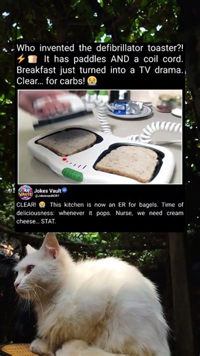 This Toaster Design Is Surprisingly Funny and Quite Clever