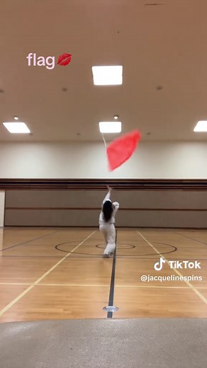 Understanding Flag Techniques in Color Guard Performance