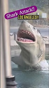 Best! Jaws Ride! Universal Studios Hollywood! #universalparks #jaws #shortsfeed
