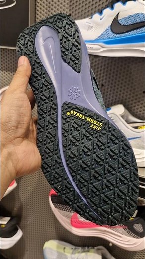 Nike Pegasus 41 Gore-Tex CANNON 2026