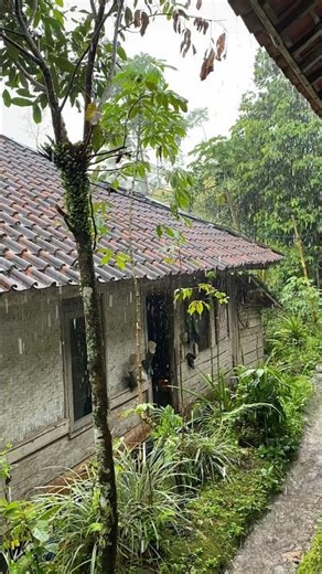 ​"POV: You're safe and cozy inside while it pours outside."