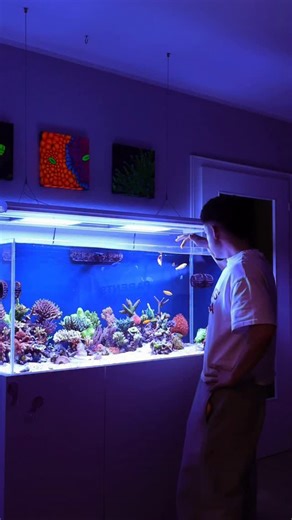 SymbioXSeas | Sokrates Bantis on Instagram: "Just me, good music and my reef tank vibes 🎶🌊 Measuring phosphate levels in my saltwater aquarium while vibing through the process – because reefkeeping should always be fun, not stressful. Phosphate control is a key part of a healthy reef tank, strong coral growth and happy marine life. From testing the reef water to checking stability and balance, it’s all about consistency, patience and passion. And yes… ending this reel with some cool close-ups 