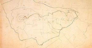 Organization of the Monticello Plantation