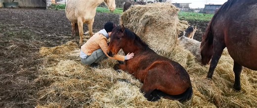 Laurence De La Lyre on Reels