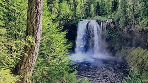 滝 落ちる 木 - Free video on Pixabay