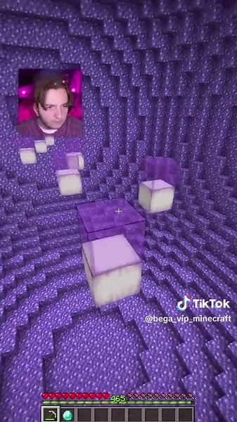 Bega_VIP_Minecraft on TikTok