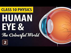 Human Eye and Colourful World Class 10 (Animation) | Class 10 Science Chapter 11 | Part 2 | CBSE