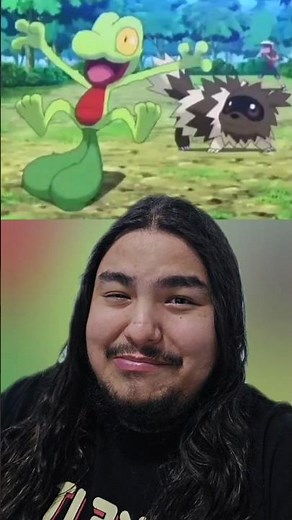 Did Pokémon make an adult joke with Treecko in the anime? That attack against Zigzagoon looks...