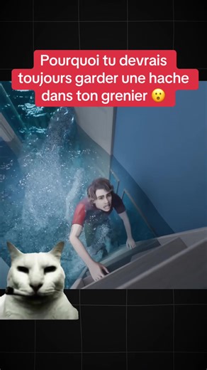 Pourquoi tu devrais toujours garder une hache dans ton grenier 😮 #education #explication #science #danger