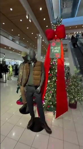 Brawadis Shopping with Dog