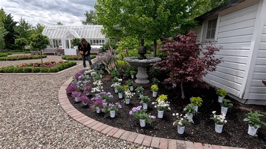 128K views · 6.1K reactions | Planting Annuals to Attract...