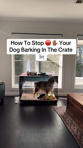 Effective Methods to Stop Excessive Barking in Dog Crates