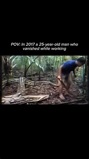 unknownu.exe on Instagram: "In March 2017, Akbar Salubiro, a 25-year-old man from a remote village in Sulawesi, went missing after heading out to work near an oil palm plantation. When he failed to return, his family and local residents organized a search. Two days later, villagers noticed a large reticulated python moving unusually slowly near the area. Authorities later confirmed that Salubiro's remains were found inside the snake, making the case one of the first widely documented and confirm