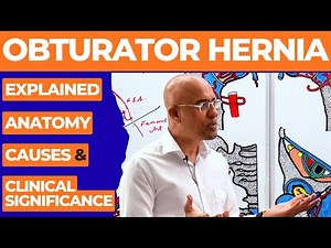 Obturator Hernia Explained | Anatomy, Causes & Clinical Significance