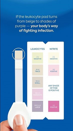 How to read UTI dipstick? #uti #urinarytractinfections #womenhealth