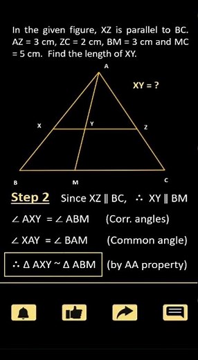 XZ is parallel to BC. AZ = 3 cm, ZC = 2 cm, BM = 3 cm | 10th Board Important Questions CBSE 2023-24