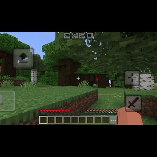 The Minecraft Community is Insane