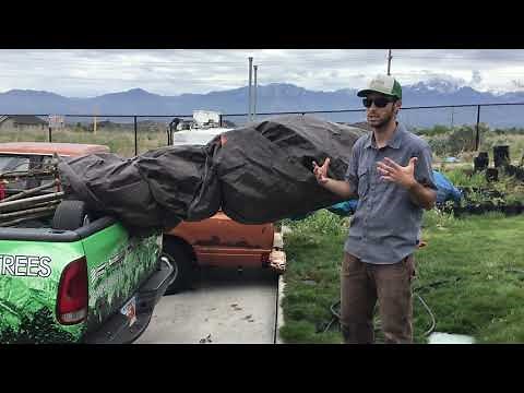 Tree Transportation Tips