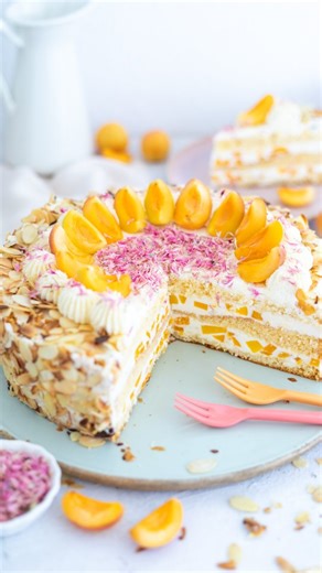 Mein Naschglück | Meli on Instagram: "🩷APRIKOSEN JOGHURT TORTE🩷 Fruchtig, cremig und leicht - hier bekommst du Sommer pur auf den Teller 🥰 ➡️Und nicht vergessen: Speichern und nachbacken 🤗 Das brauchst du: Biskuit: 6 Eier 200 g Zucker 1 Prise Salz 200 g Mehl 50 g Stärke 1 TL Backpulver 60 g Butter Füllung: 1 Dose Aprikosen (850 g) 500 g Joghurt 10 % 100 g Puderzucker 400 ml Sahne 4 TL San Apart 1 Bio Zitrone 2 Packchen Agartine Deko: 100 g gehobelte Mandeln Baiser Blumen So wirds gemacht: Bi
