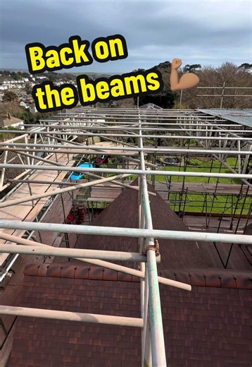 Back on the Beams: Spring Scaffolding Adventures