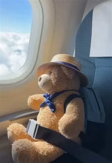 In Tokyo (and elsewhere in Japan), there are services that will “take your stuffed animal on vacation”. They: \t•\tCollect your plush toy \t•\tBring it along to real locations (temples, streets, landmarks) \t•\tTake photos of it “exploring” \t•\tSend you updates and souvenirs Some even package it like a full “tour experience” for your toy. 🧠 Why this exists This isn’t just random—it ties into real cultural trends in Japan: \t•\tKawaii (cute) culture \t•\tEmotional attachment to objects (similar